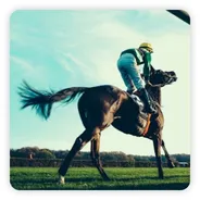疾走する競走馬と騎手
