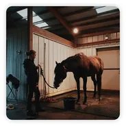 厩舎で馬を引く人