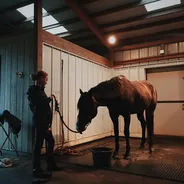 厩舎で馬を引く人